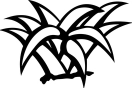 Growth Accelerated